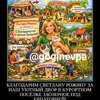 Благодарим_Рожину_1800.png