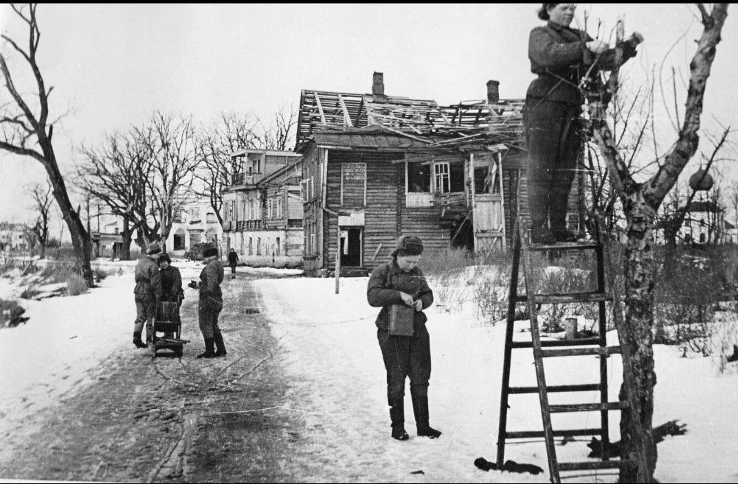 История оккупации Новгородской области, Старорусский район, фотография 21