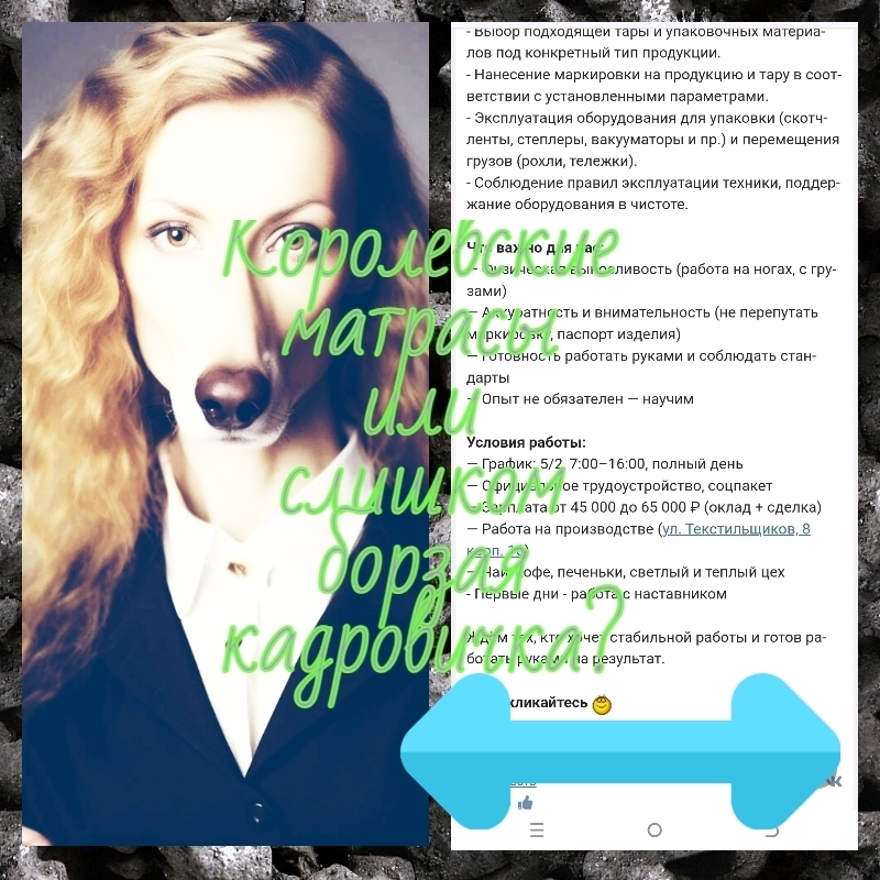 Королевские матрасы или слишком борзая кадровичка?