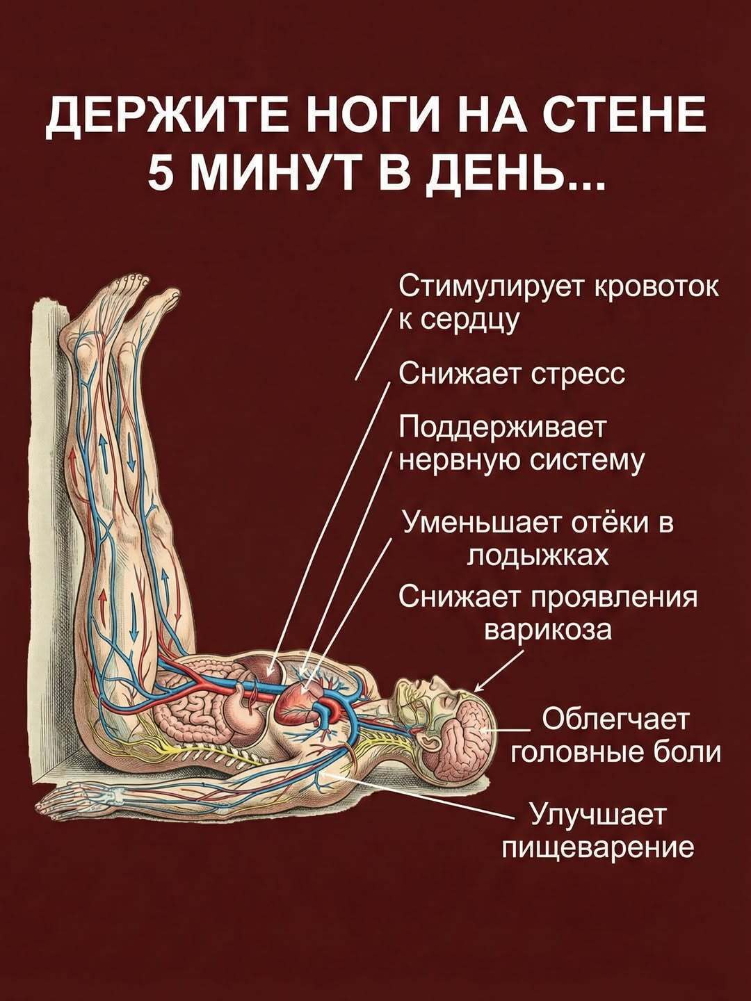 Врачи молчат об этом! Всего 5 минут в день у стены — и ваши ноги оживут